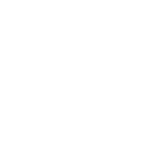 Icon Facebook White